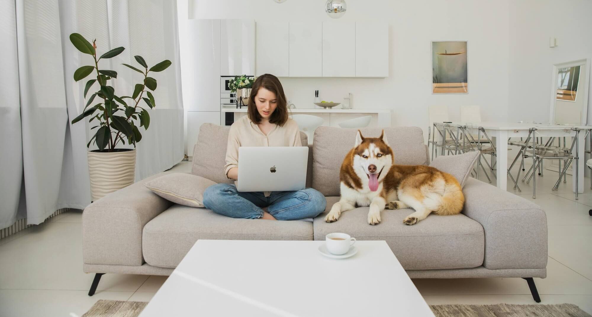 woman buying a dog on her laptop